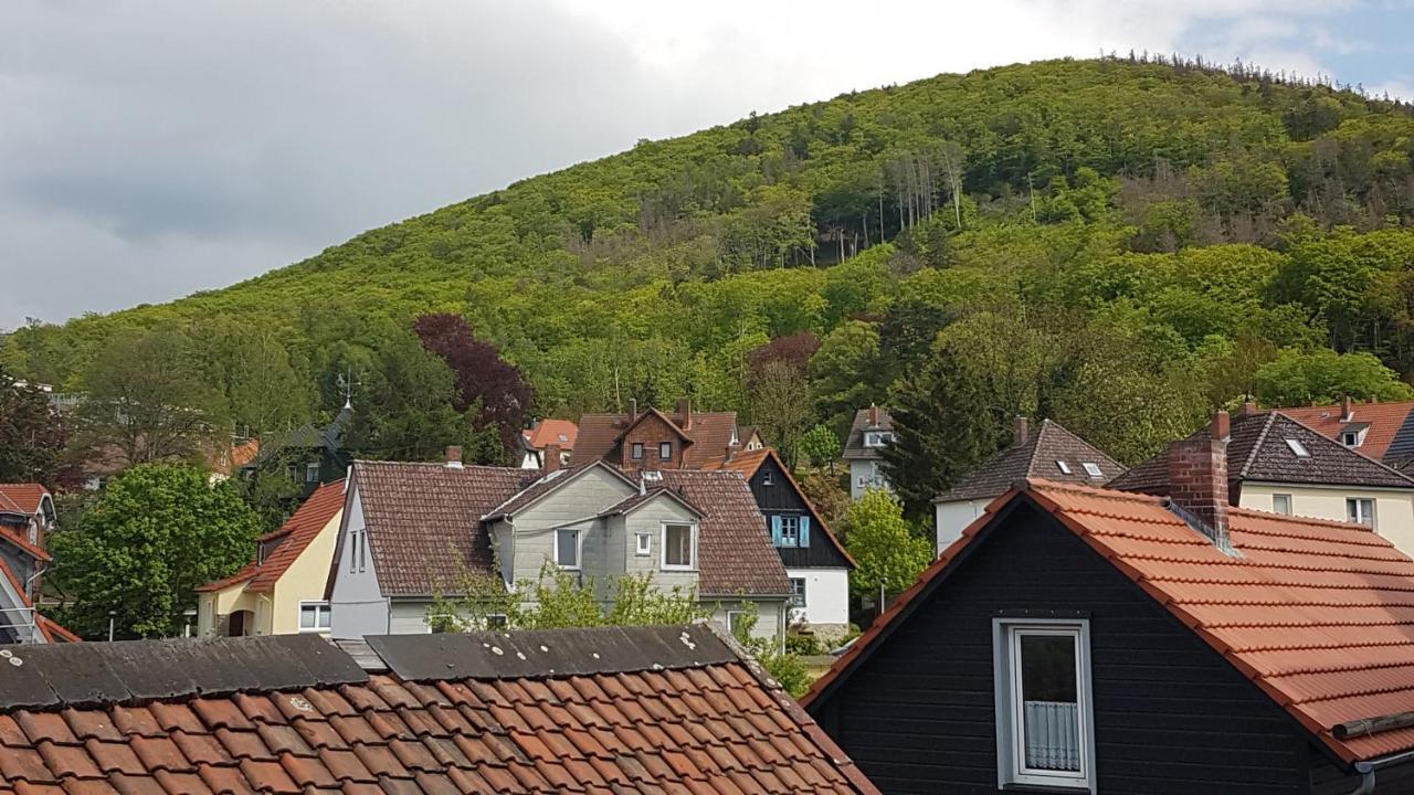 Brockenferien Leilighet Bad Harzburg Eksteriør bilde