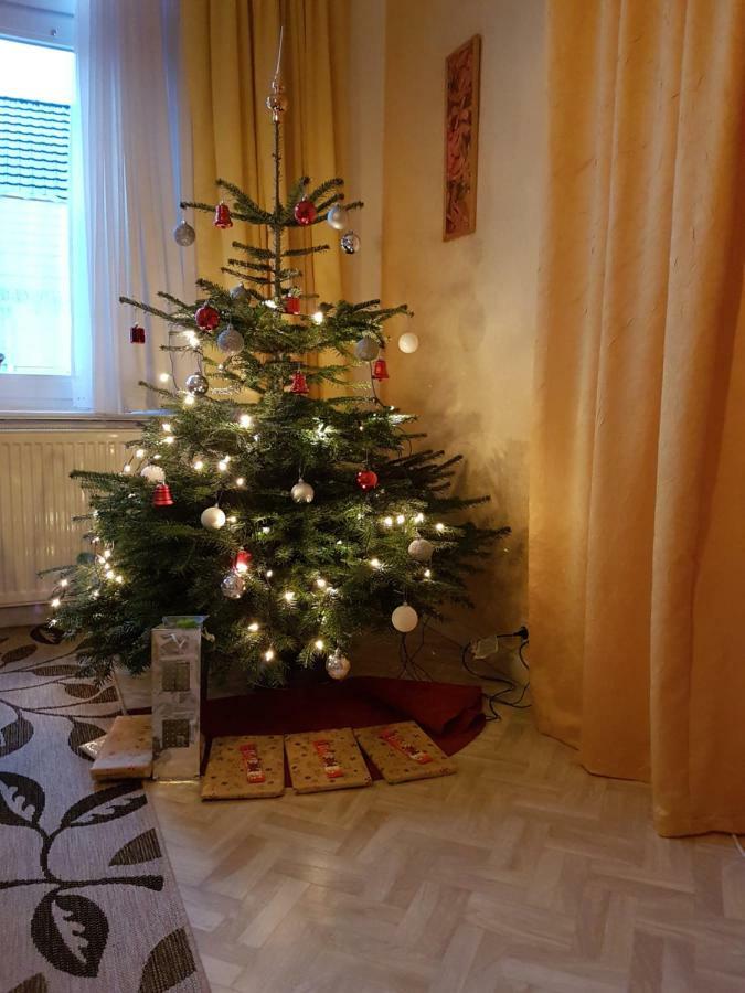 Brockenferien Leilighet Bad Harzburg Eksteriør bilde